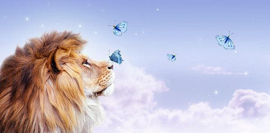 Lion & Butterfly - Full Drill 5D DIY Diamond Painting Kits - Diamond Art Dezigns