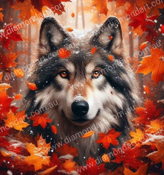 Wolf Autumn