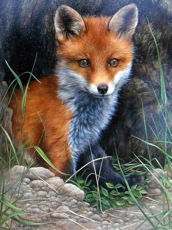 Fox Cub - Full Drill 5D DIY Diamond Painting Kits - Diamond Art Dezigns