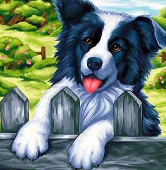 Border Collie - Full Drill 5D DIY Diamond Painting Kits - Diamond Art Dezigns