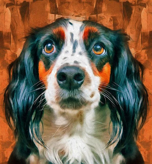 English Setter - Full Drill 5D DIY Diamond Painting Kits - Diamond Art Dezigns