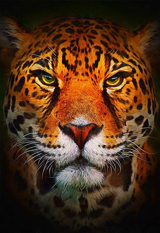 Leopard Stare - Full Drill 5D DIY Diamond Painting Kits - Diamond Art Dezigns